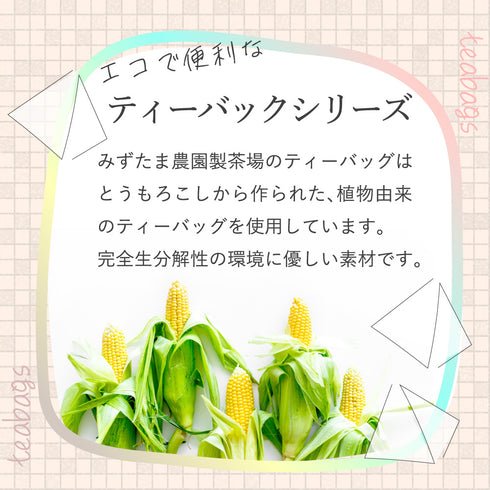 静岡茶 水出し緑茶 ティーバッグ 5g×50p