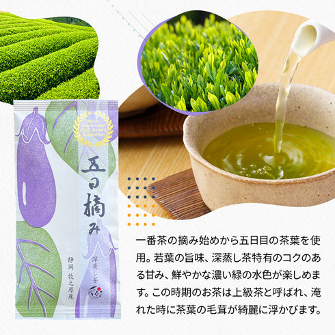 静岡茶 摘み取り日比べ 五日摘み 100g