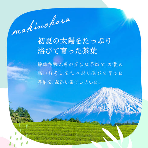 深蒸し茶 牧之原茶 100g