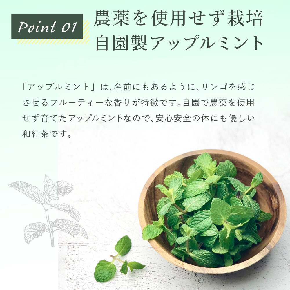 アップルミント×和紅茶 ティーバッグ 2.5g×35p | みずたま農園製茶場