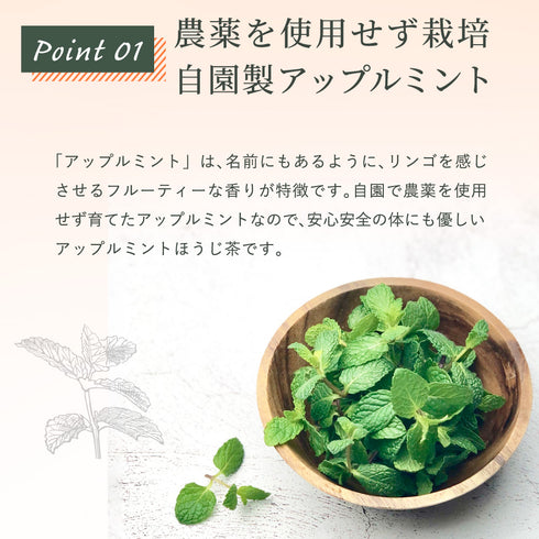 アップルミント×ほうじ茶 ティーバッグ 2.5g×35p