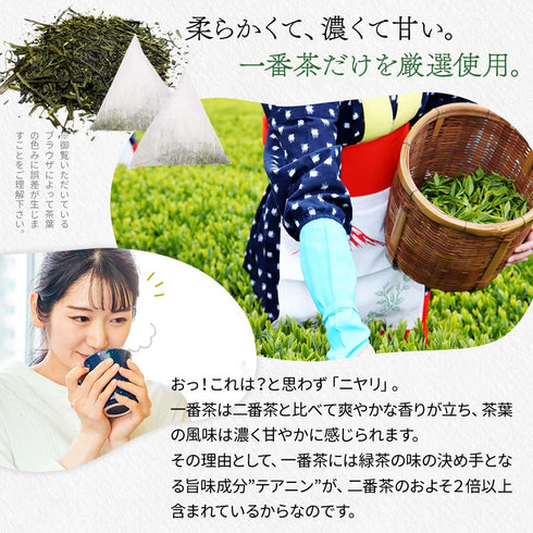 限定特蒸 深蒸し一番茶 ティーバッグ 3.5g×20p