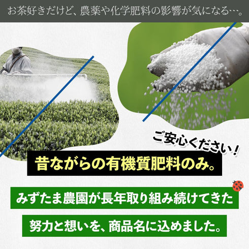 農薬も化学肥料も使わないで育てたお茶 深蒸し茶 ティーバッグ 2.5g×50p