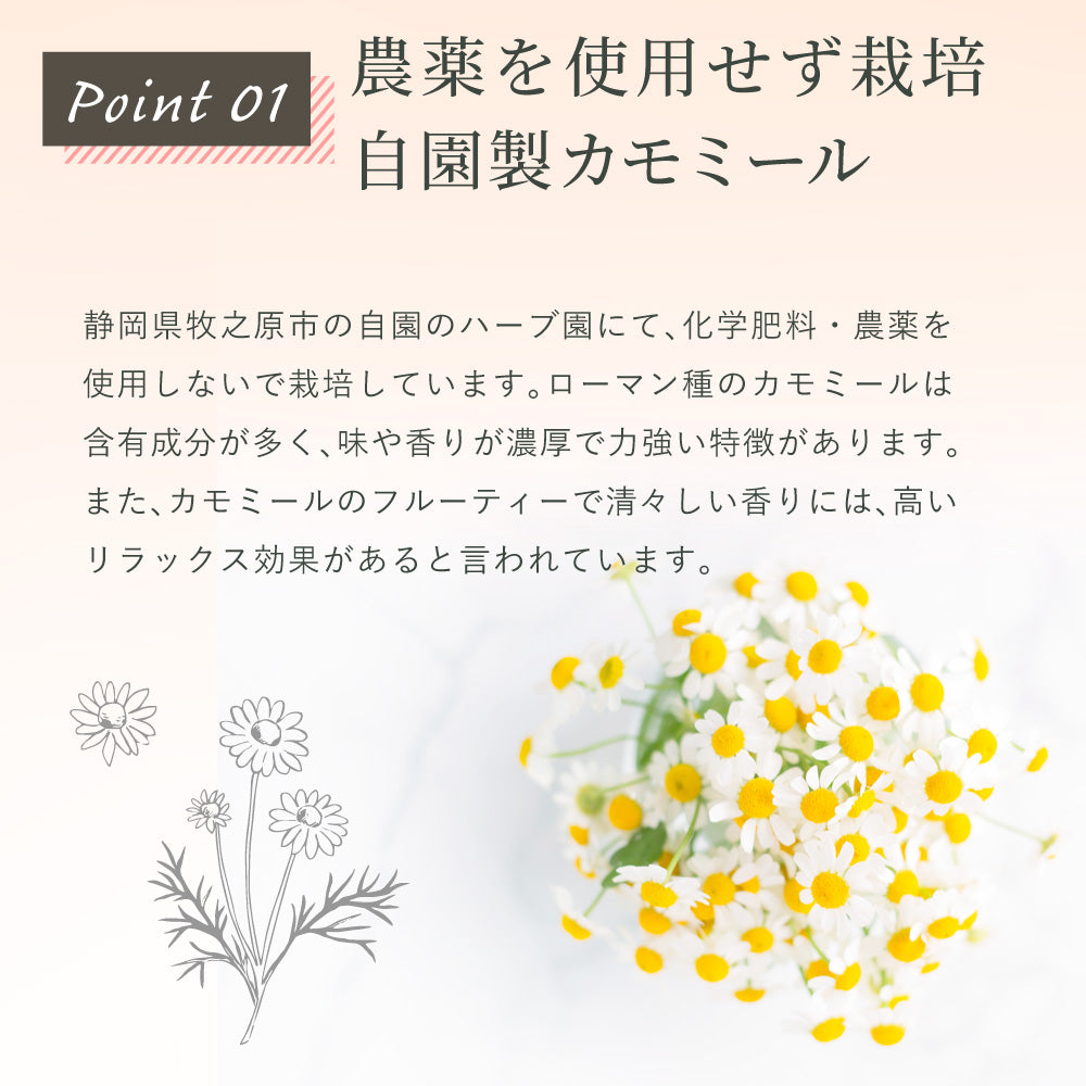カモミール×ほうじ茶 ティーバッグ 2.5g×35p | みずたま農園製茶場