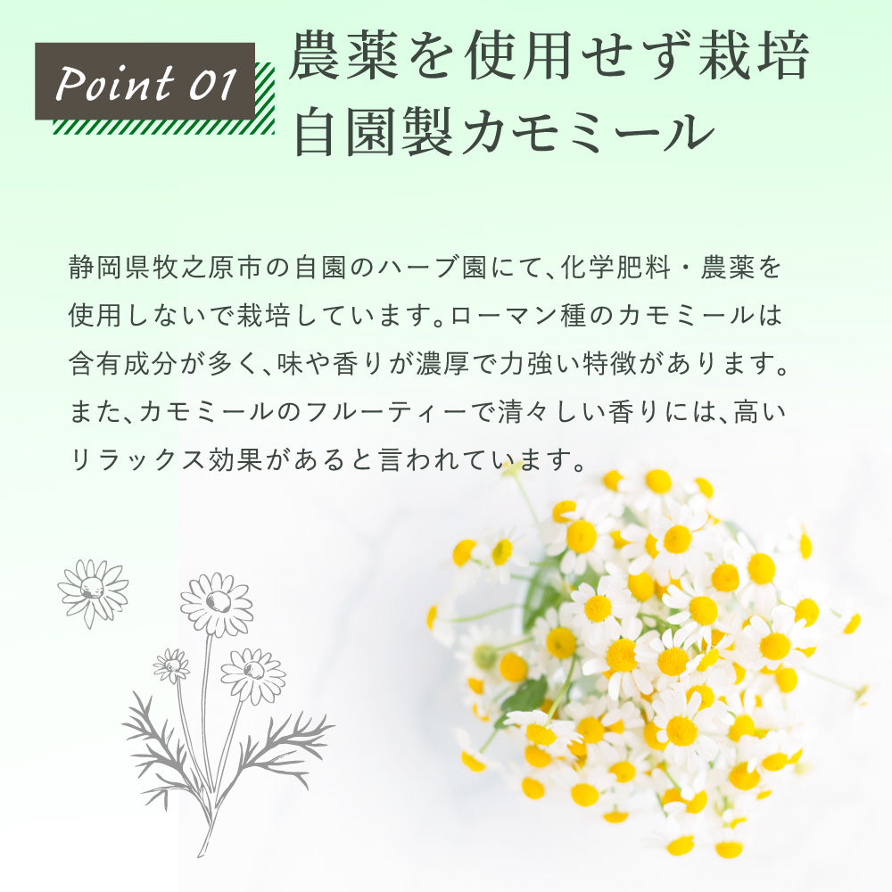 カモミール♡ カモミール×緑茶 ティーバッグ 2.5g×35p ｜ みずたま農園製茶場
