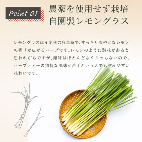 レモングラス×和烏龍茶 ティーバッグ 2.5g×35p