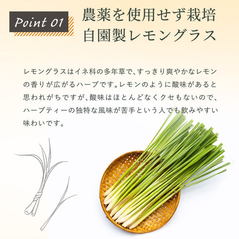 レモングラス×ほうじ茶 ティーバッグ 2.5g×35p