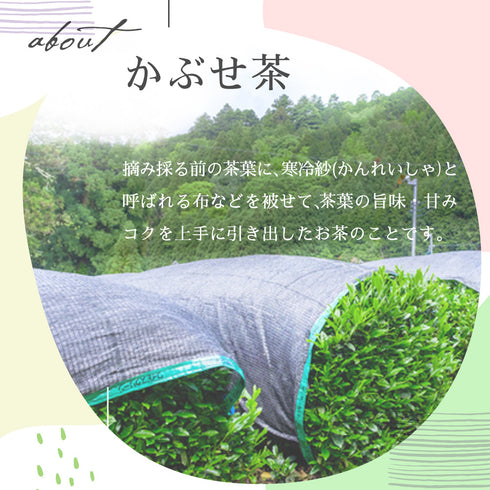 かぶせ茶 100g | 静岡茶 深蒸し茶