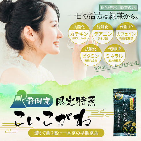 静岡茶 限定特蒸 こいこがね 茶葉 100g