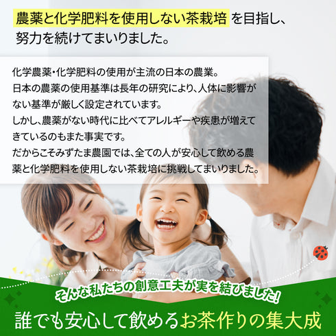 農薬も化学肥料も使わないで育てたお茶 和紅茶ティーバッグ 2.5g×50p