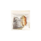Dried Fruit Tea | Japanese Fruits x Japanese Black Tea - Fruit Story