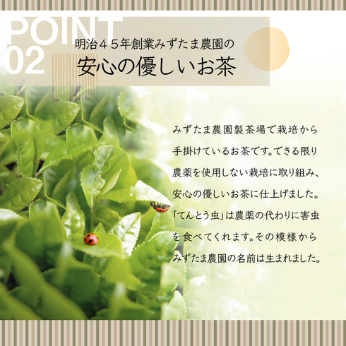 Hojicha powder 50g