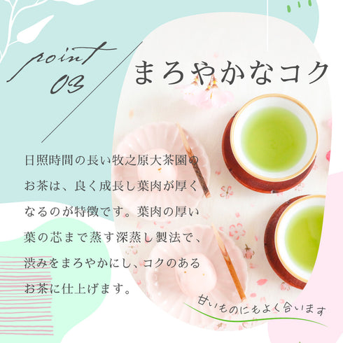 深蒸し茶 牧之原茶 100g