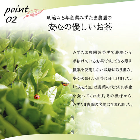 粉末和紅茶 茶葉の栄養「まるごと」 225g BLACK TEA