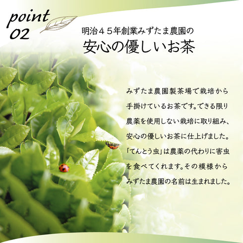 Tea Leaf Nutrition "Marugoto" Powdered Hojicha 225g HOUJI TEA