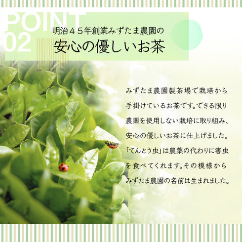 粉末緑茶 50g 茶葉の栄養「まるごと」GREEN TEA
