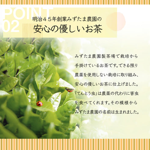 粉末玄米茶 50g 茶葉の栄養「まるごと」GENMAI TEA
