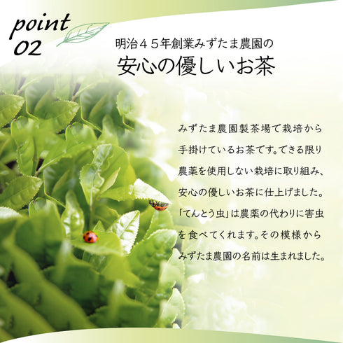 粉末緑茶 茶葉の栄養「まるごと」 225g GREEN TEA