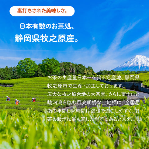 農薬も化学肥料も使わないで育てたお茶 和紅茶ティーバッグ 2.5g×50p